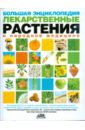 Большая энциклопедия. Лекарственные растения в народной медицине