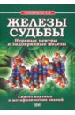 Железы судьбы. Нервные центры и эндокринные железы